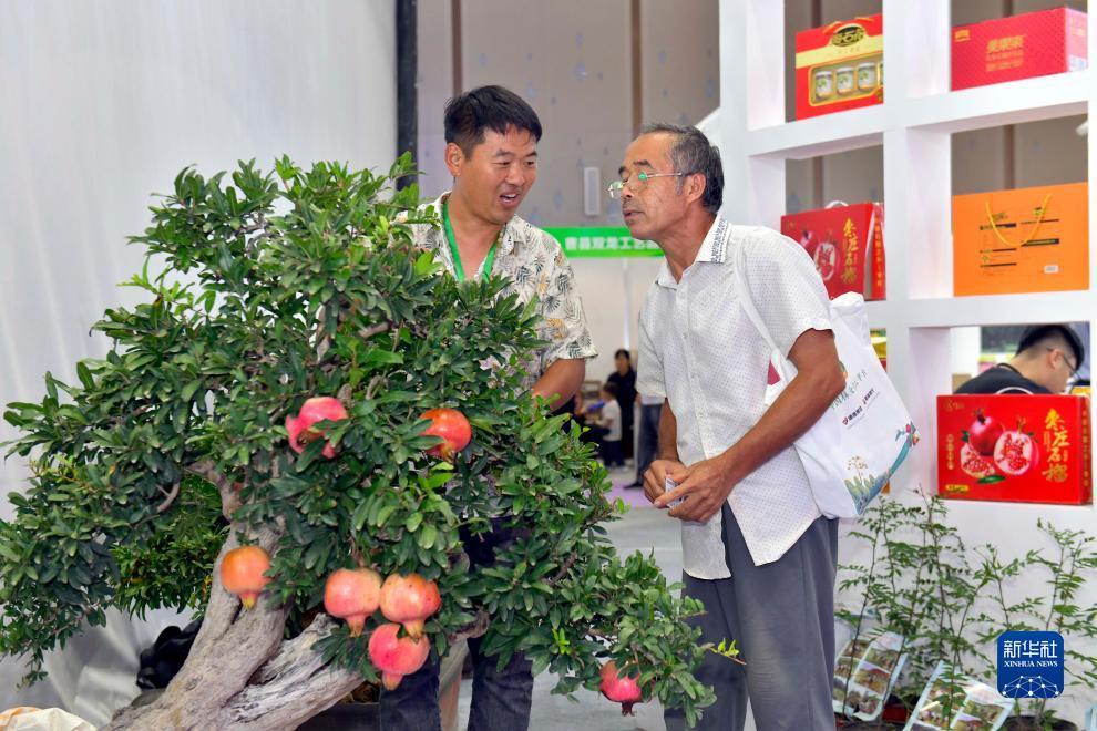 银河国际炸金花
